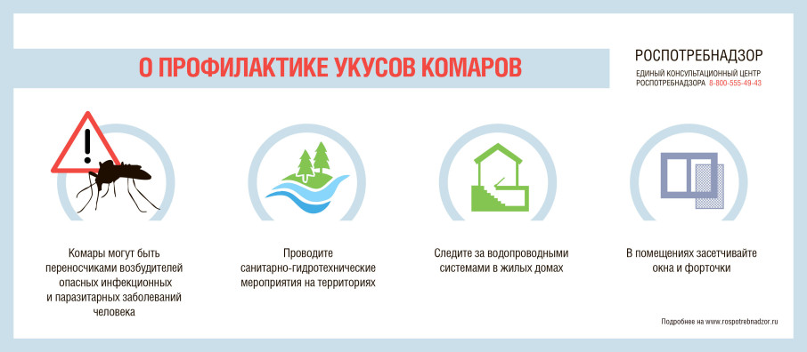 Санитарный шит страны - безопасность для здоровья Санитарный шит страны - безопасность для здоровья.